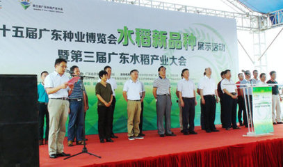 水稻新韵助力乡村振兴 第十五届广东种博会茂名展示活动圆满收官